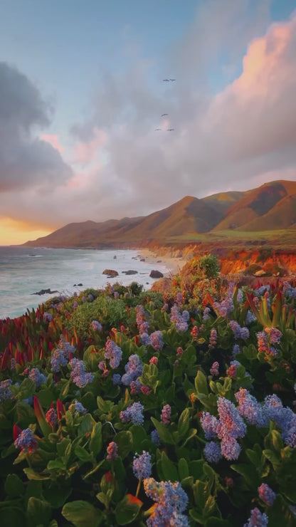 Hawaiify Michael Scott Godfather Remake Athletic Fit T-Shirt